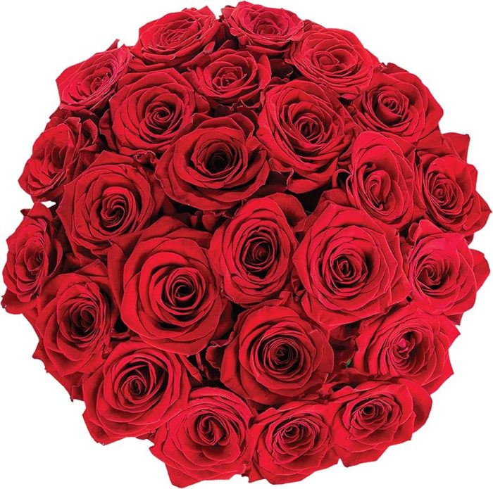 Order Beautiful Ecuadorian Flowers Today: Fast Delivery & Top Quality