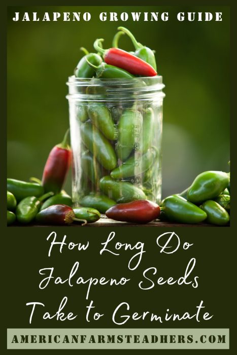 How Long Do Jalapeño Seeds Take to Germinate? A Complete Guide